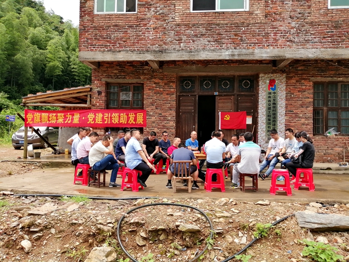 1573094024502128.jpg b.jpg